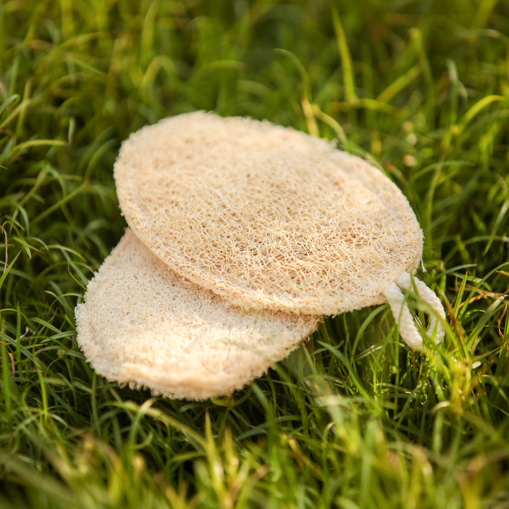 Natural Loofah